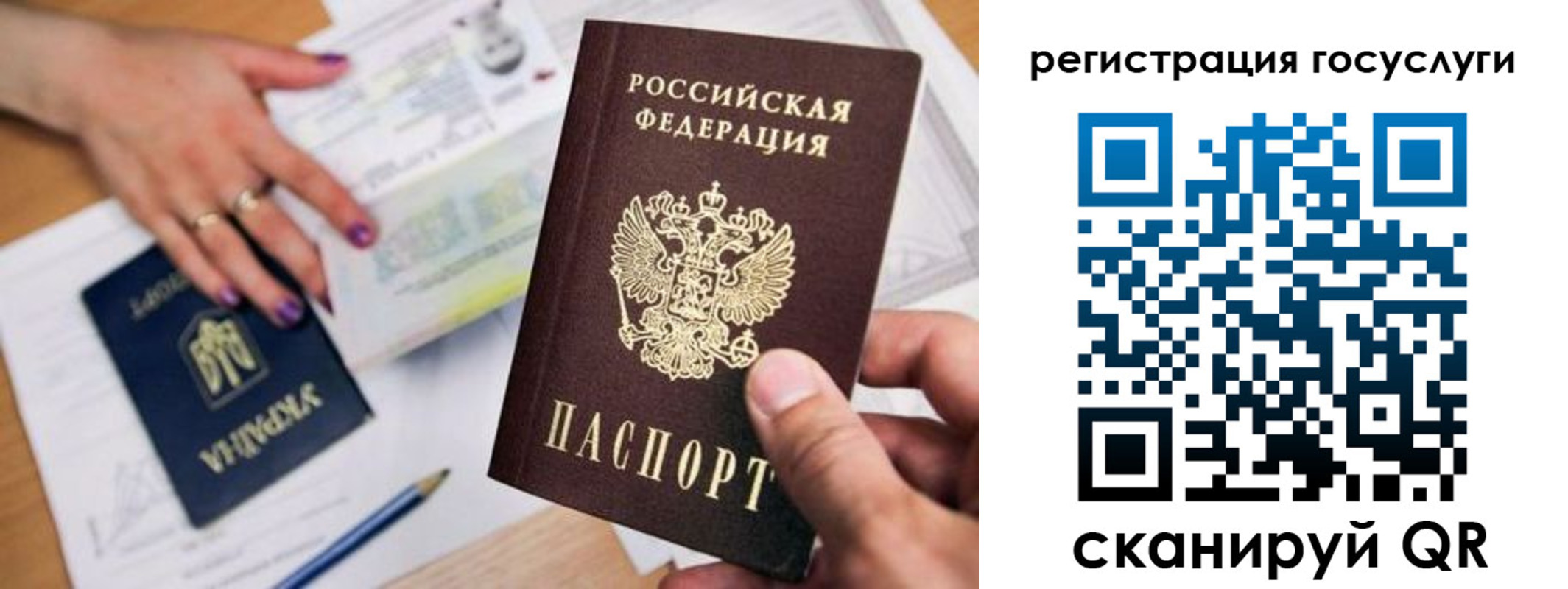 прописка иностранных граждан в Светлогорске